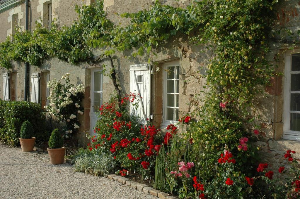 Chateau De L'Oiseliniere Bed and Breakfast Gorges  Εξωτερικό φωτογραφία
