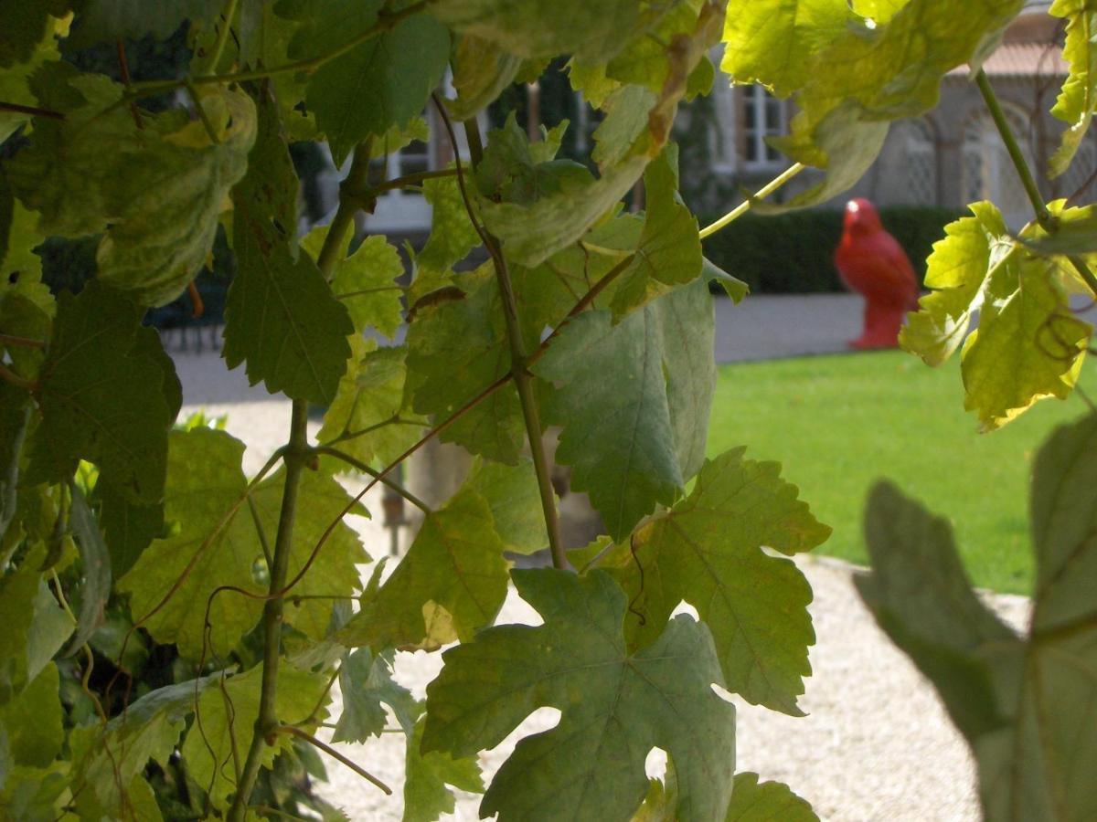 Chateau De L'Oiseliniere Bed and Breakfast Gorges  Εξωτερικό φωτογραφία